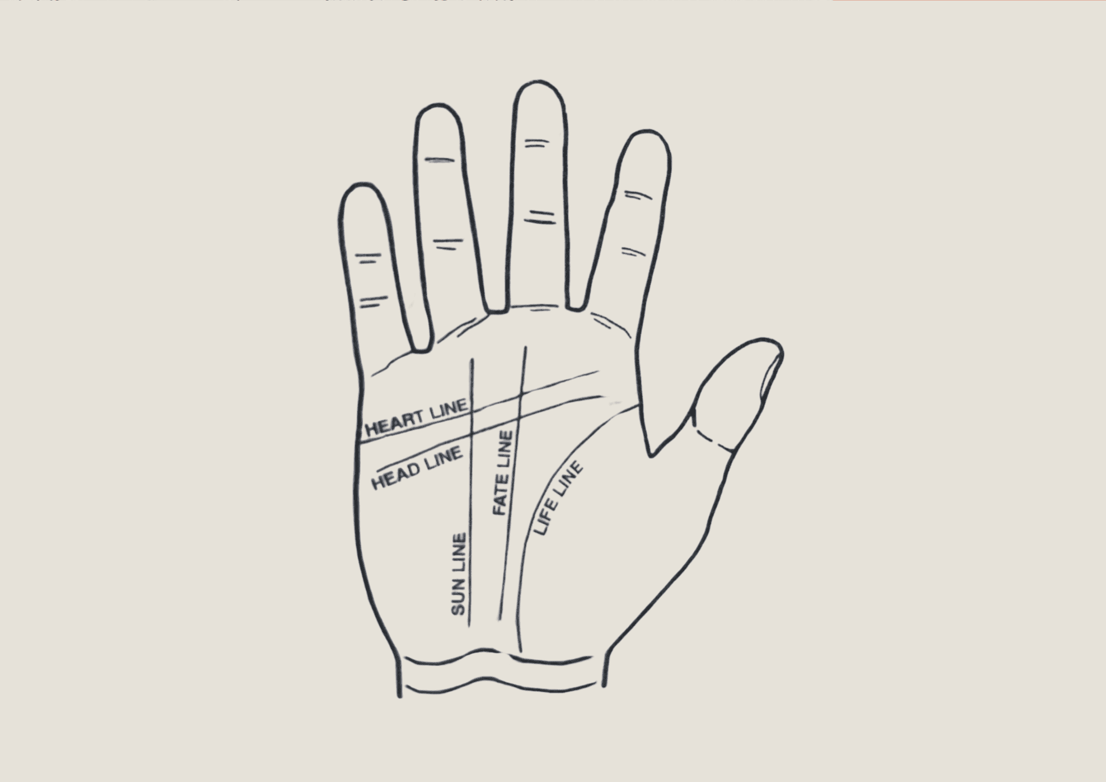 Palmistry Hand Guide: What Your Hand Lines Say About Love, Career & Health
