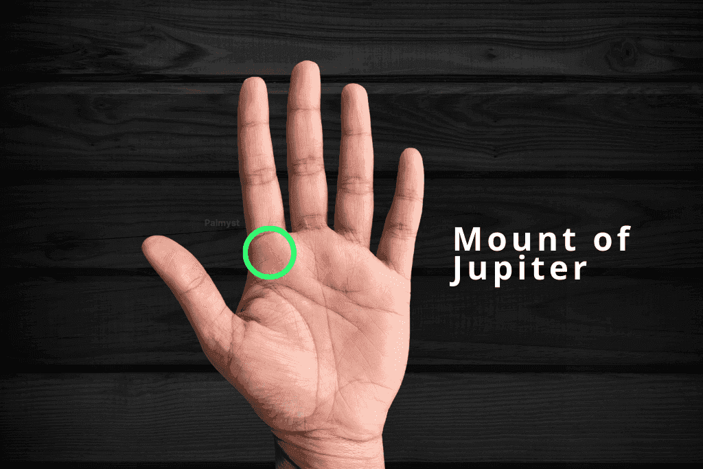 Mount of Jupiter in Palmistry: Guru Parvat & Leadership