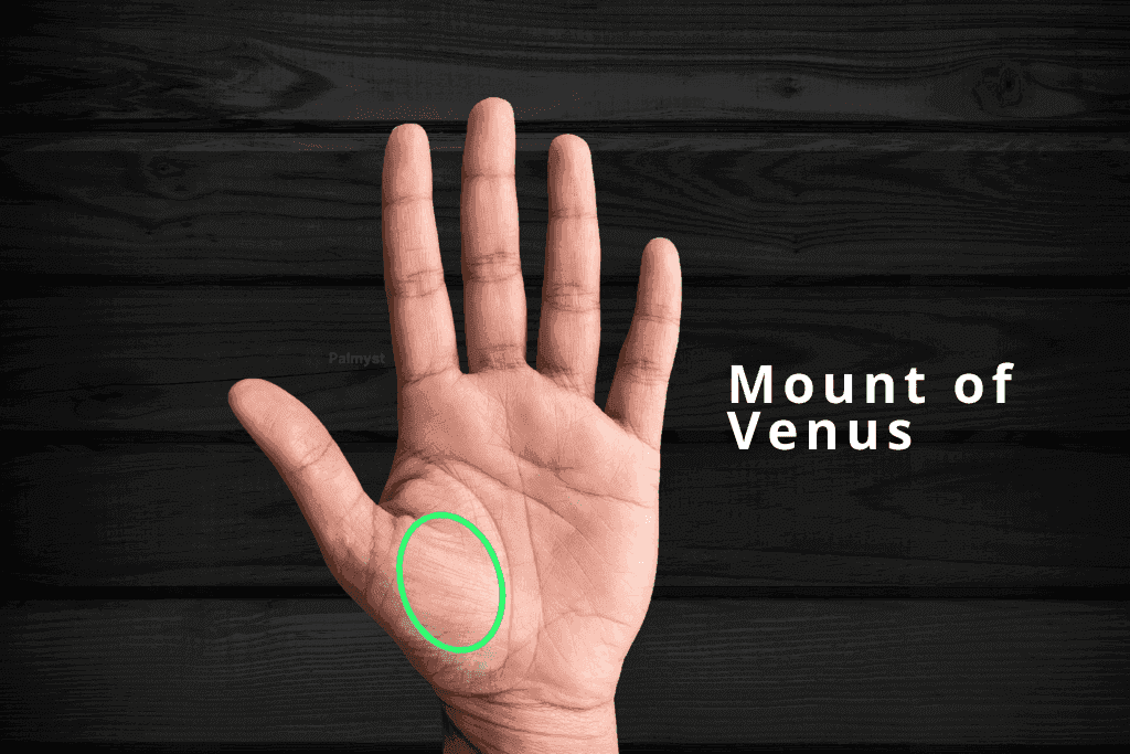 Mount of Venus in Palmistry: Shukra Parvat & Passion