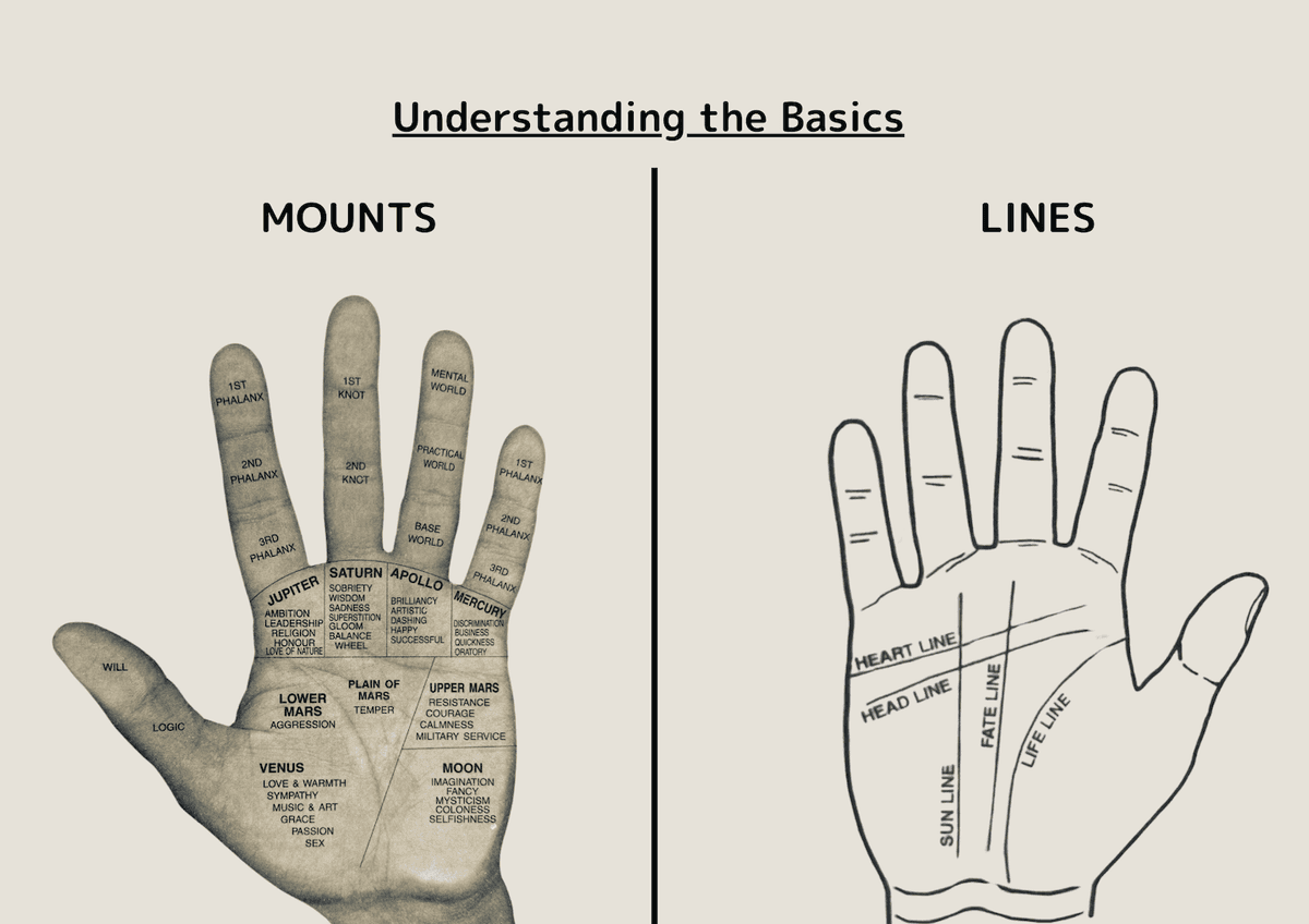 Hand Line Fuad Palmistry Basics: Understand Your Palm Lines & Mounts | Palmyst