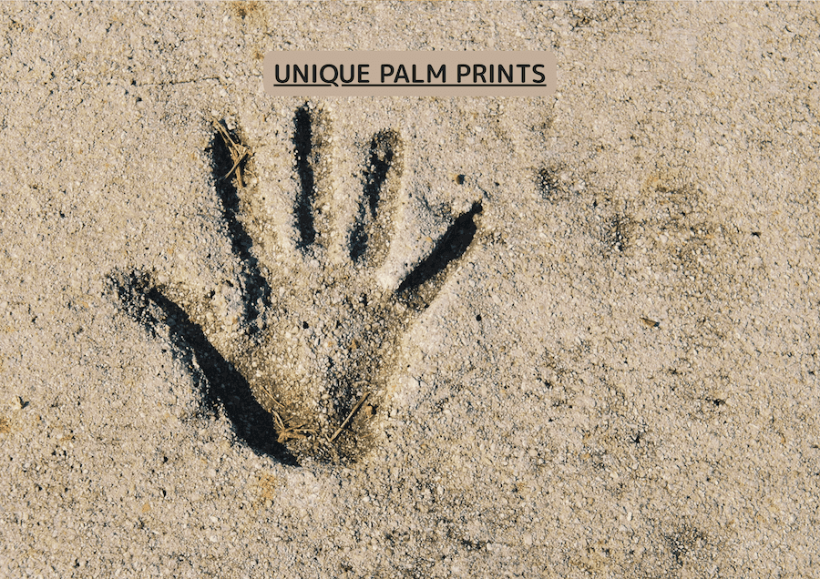 What Your Unique Palm Prints Reveal About You